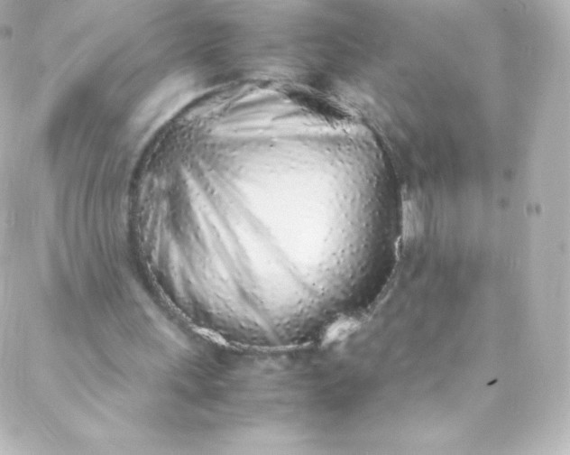 X0000088150243200705291430