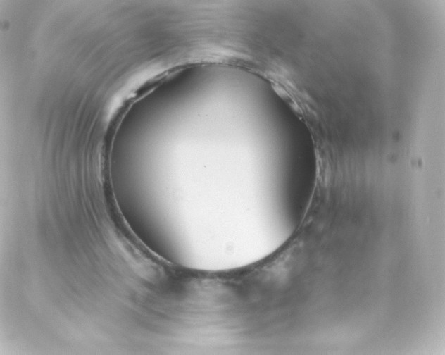 X0000088150244200705291430