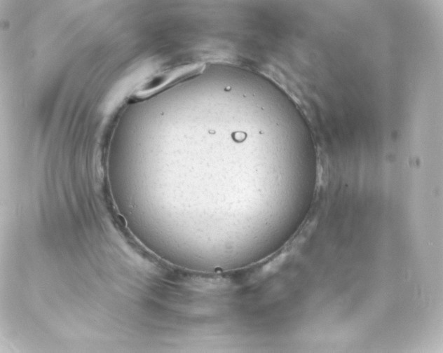 X0000088150245200705291430