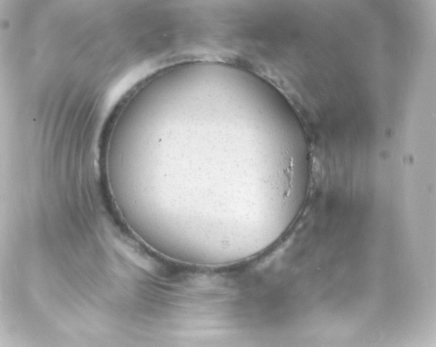 X0000088150246200705291430