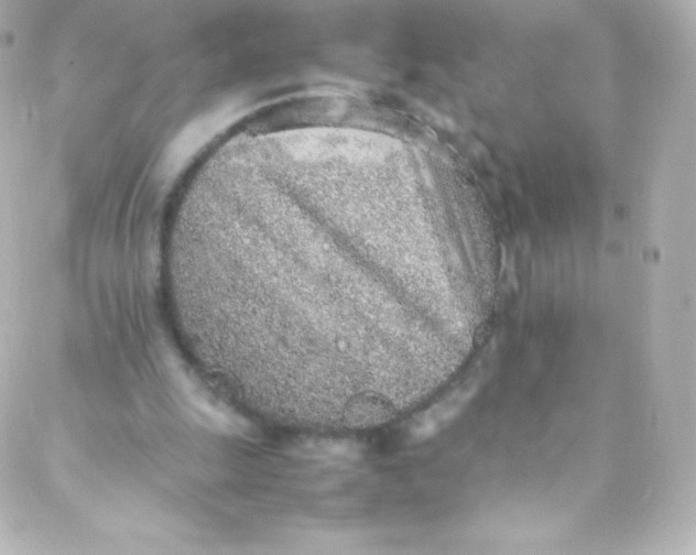 X0000088150247200705291430