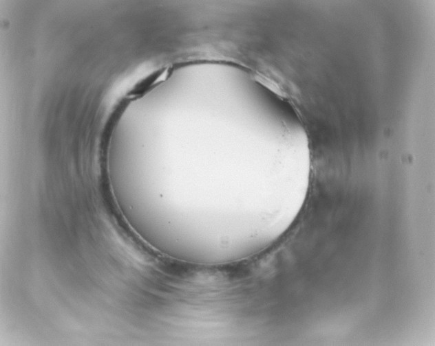 X0000088150248200705291430