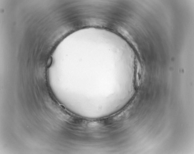 X0000088150249200705291430