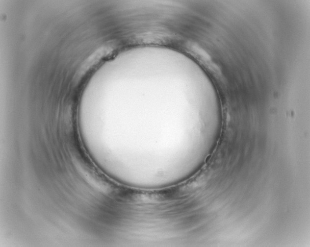 X0000088150250200705291430