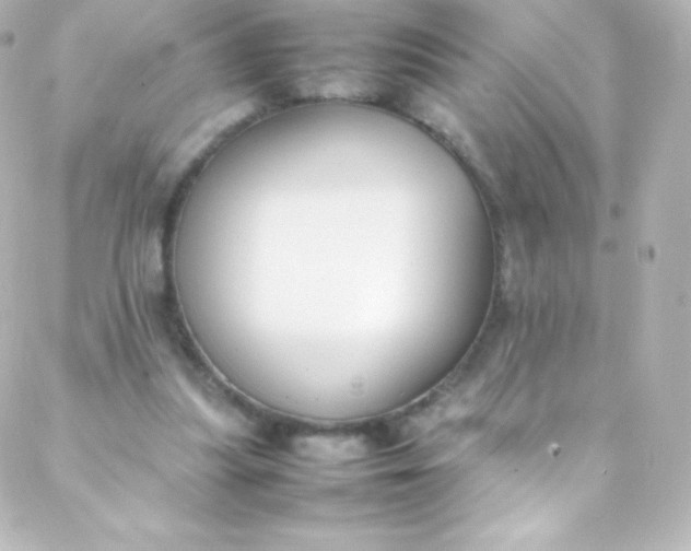 X0000088150251200705291430