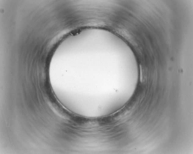 X0000088150252200705291430