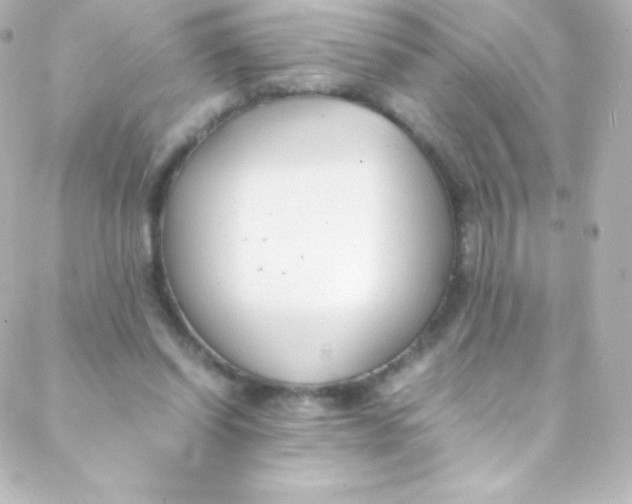 X0000088150254200705291430