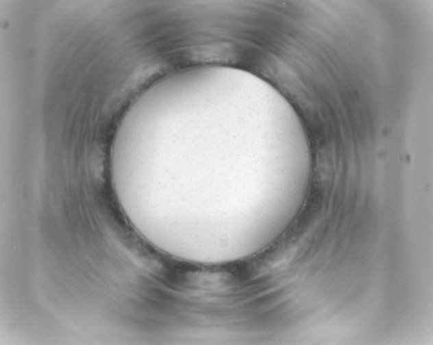 X0000088150255200705291430