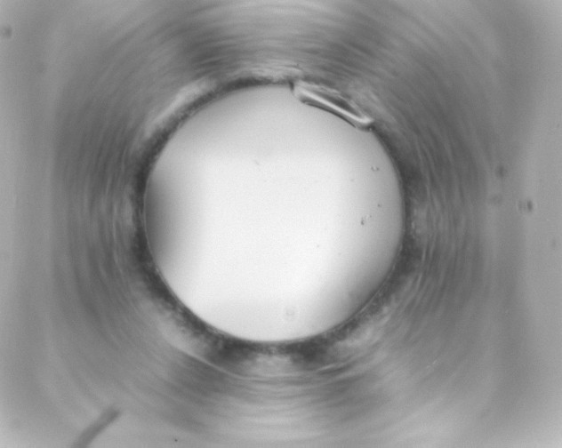 X0000088150256200705291430