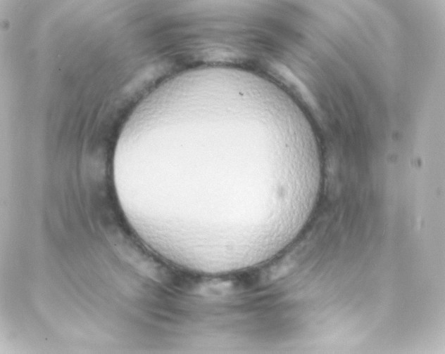 X0000088150257200705291430