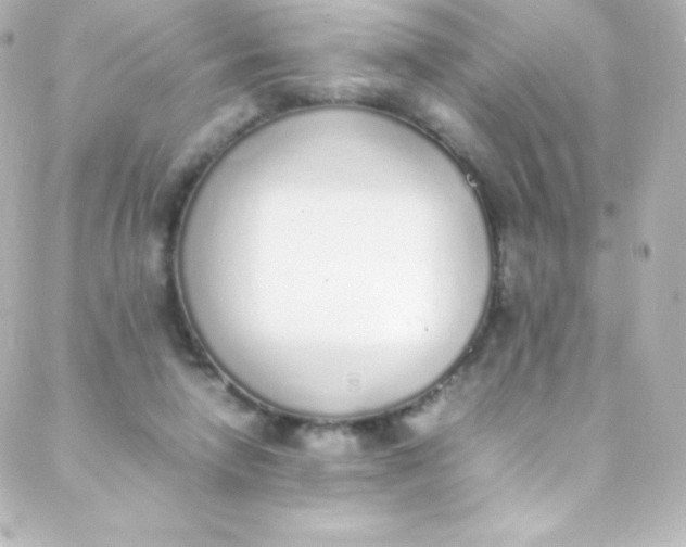 X0000088150258200705291430