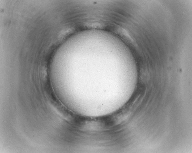 X0000088150259200705291430