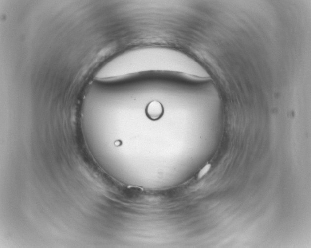 X0000088150260200705291430