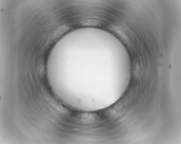 X0000088150261200705291430