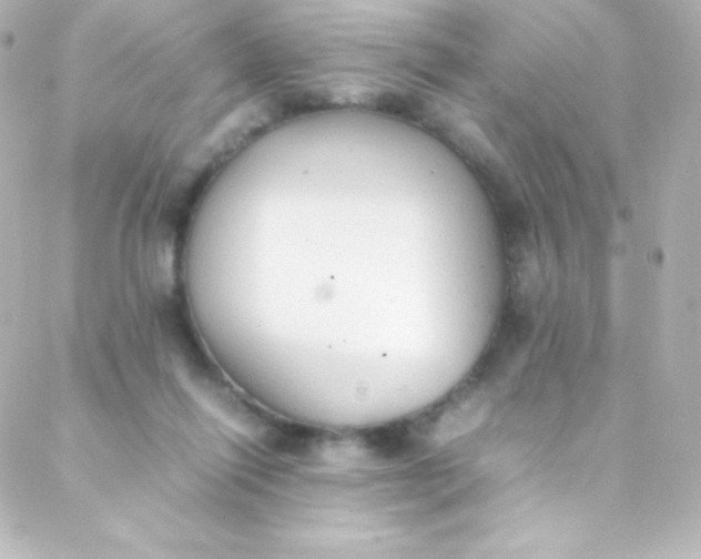 X0000088150262200705291430