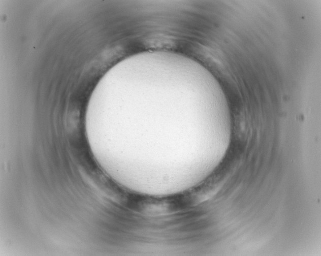 X0000088150263200705291430