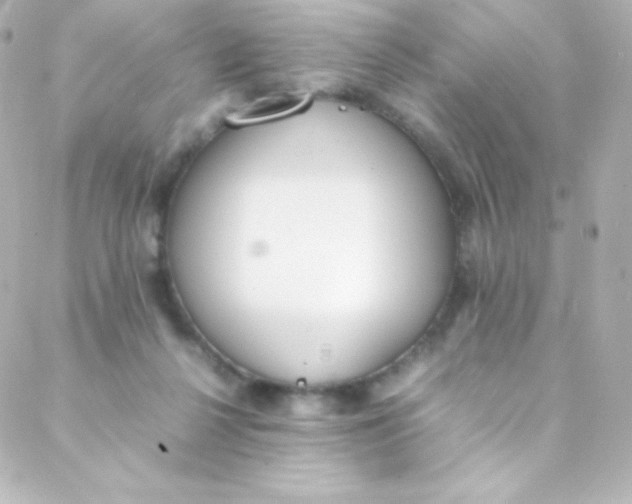 X0000088150264200705291430