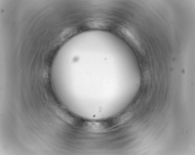 X0000088150265200705291430