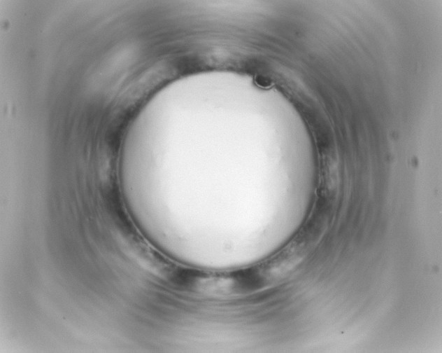 X0000088150266200705291430