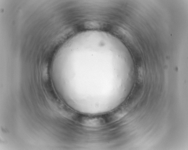 X0000088150267200705291430