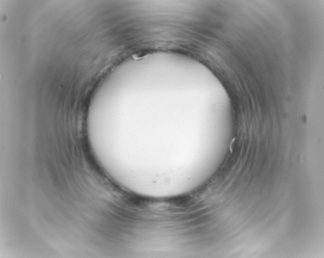 X0000088150268200705291430