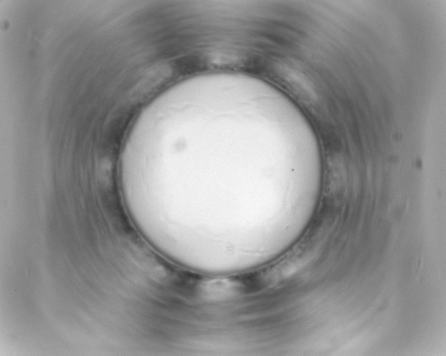 X0000088150269200705291430