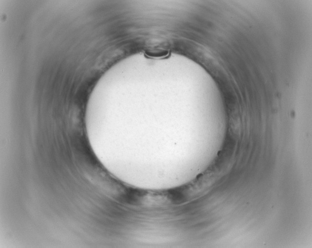 X0000088150270200705291430