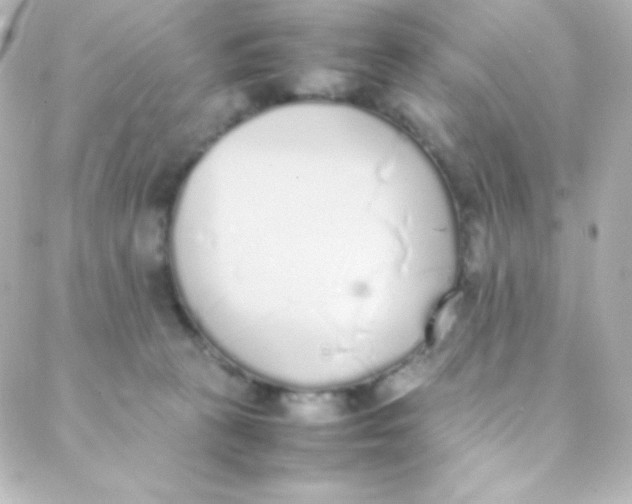 X0000088150273200705291430