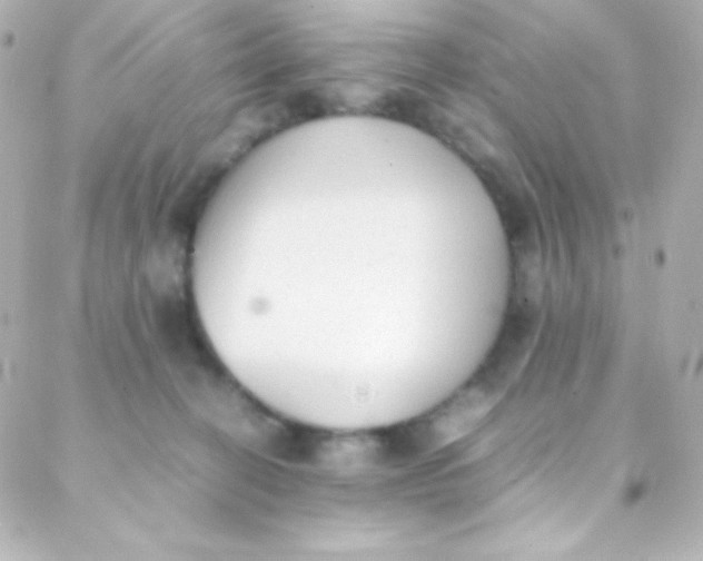 X0000088150274200705291430