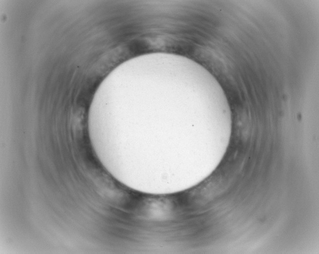 X0000088150275200705291430