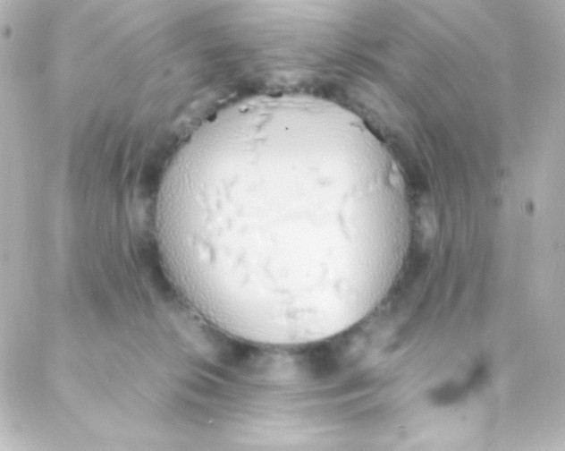 X0000088150276200705291430