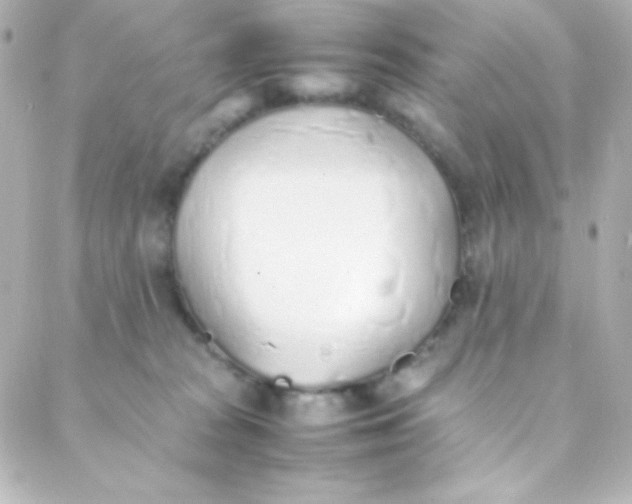 X0000088150277200705291430