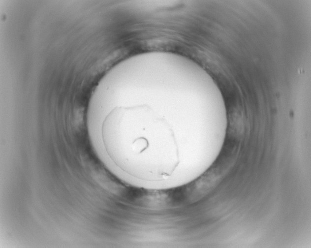 X0000088150278200705291430