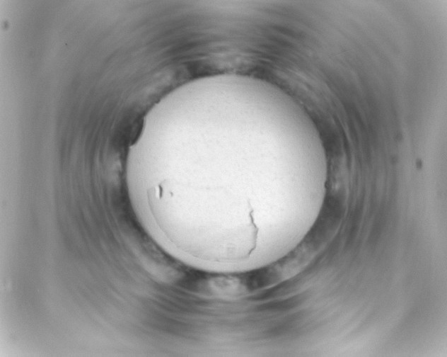 X0000088150279200705291430