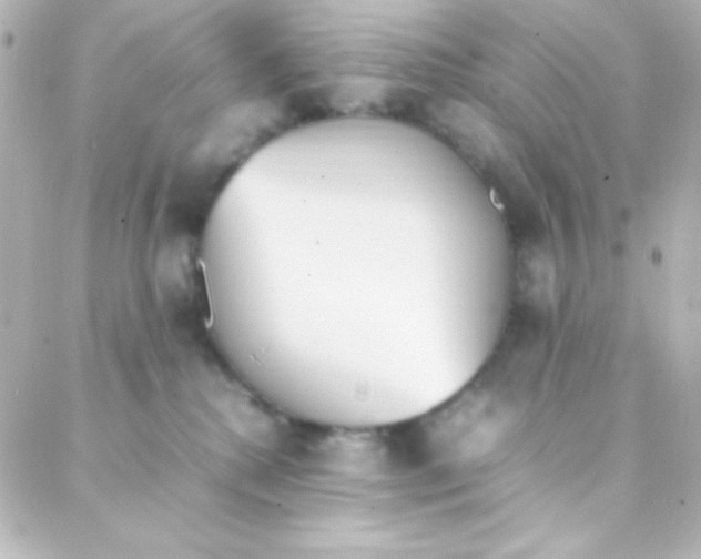 X0000088150280200705291430