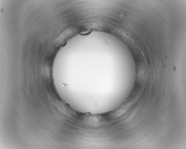 X0000088150282200705291430