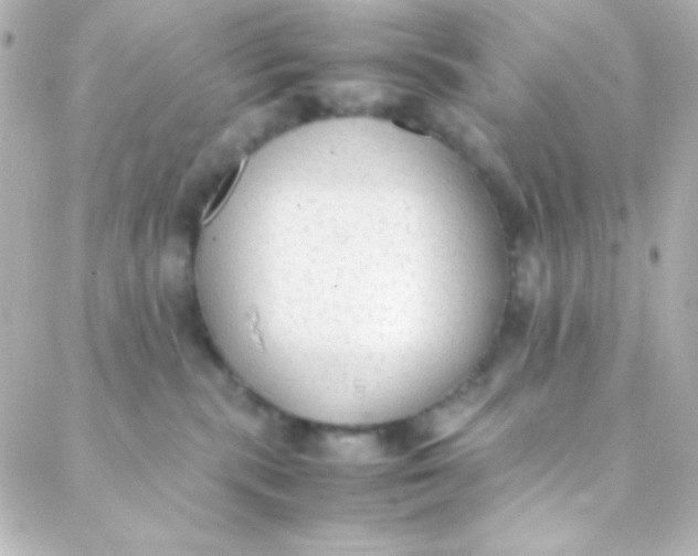 X0000088150283200705291430