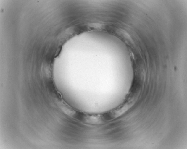 X0000088150285200705291430