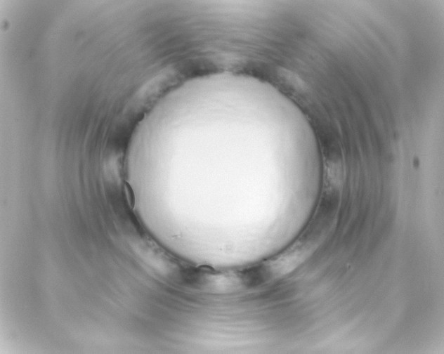 X0000088150286200705291430