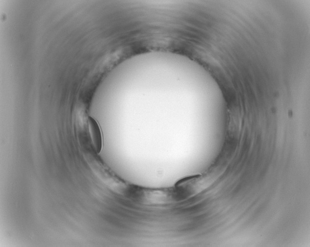 X0000088150287200705291430