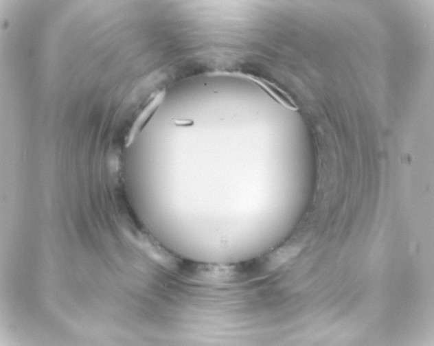 X0000088150288200705291430