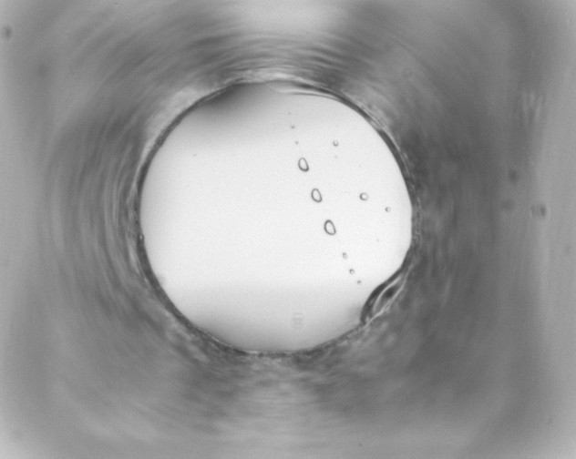 X0000088150289200705291429