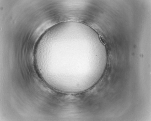 X0000088150290200705291429