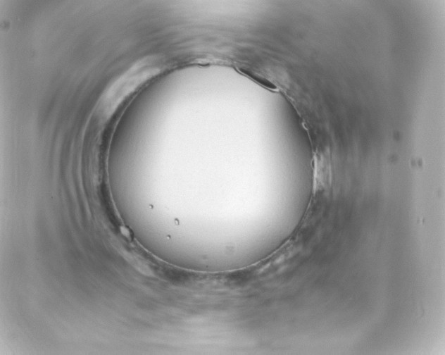 X0000088150291200705291429