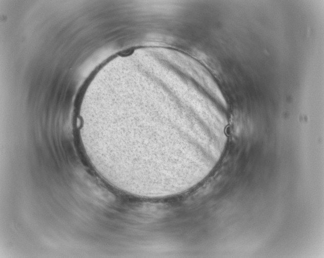 X0000088150292200705291429