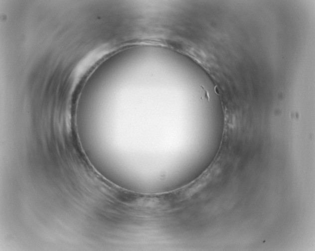 X0000088150294200705291429