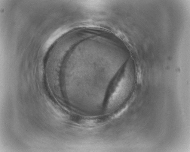 X0000088150295200705291429