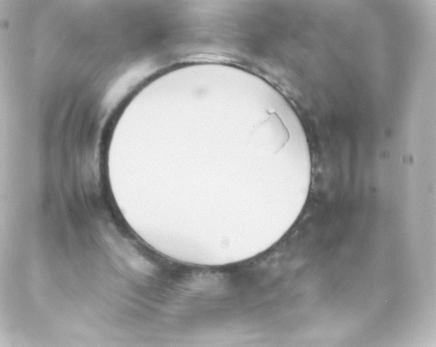 X0000088150296200705291429