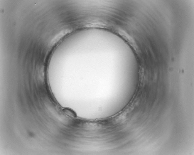 X0000088150298200705291429