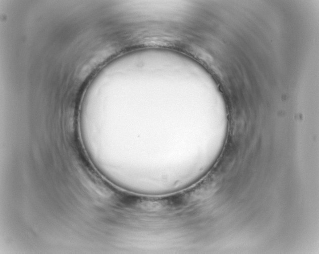 X0000088150299200705291429